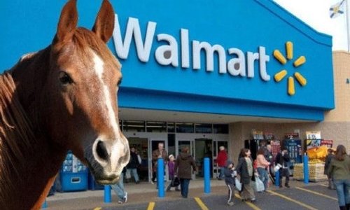 Walmart.horse shut down