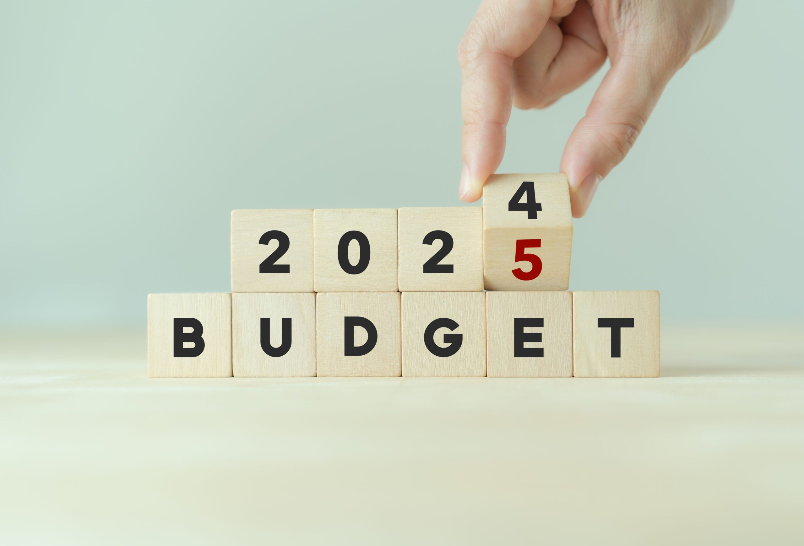 Image showing the Budget 2024-2025