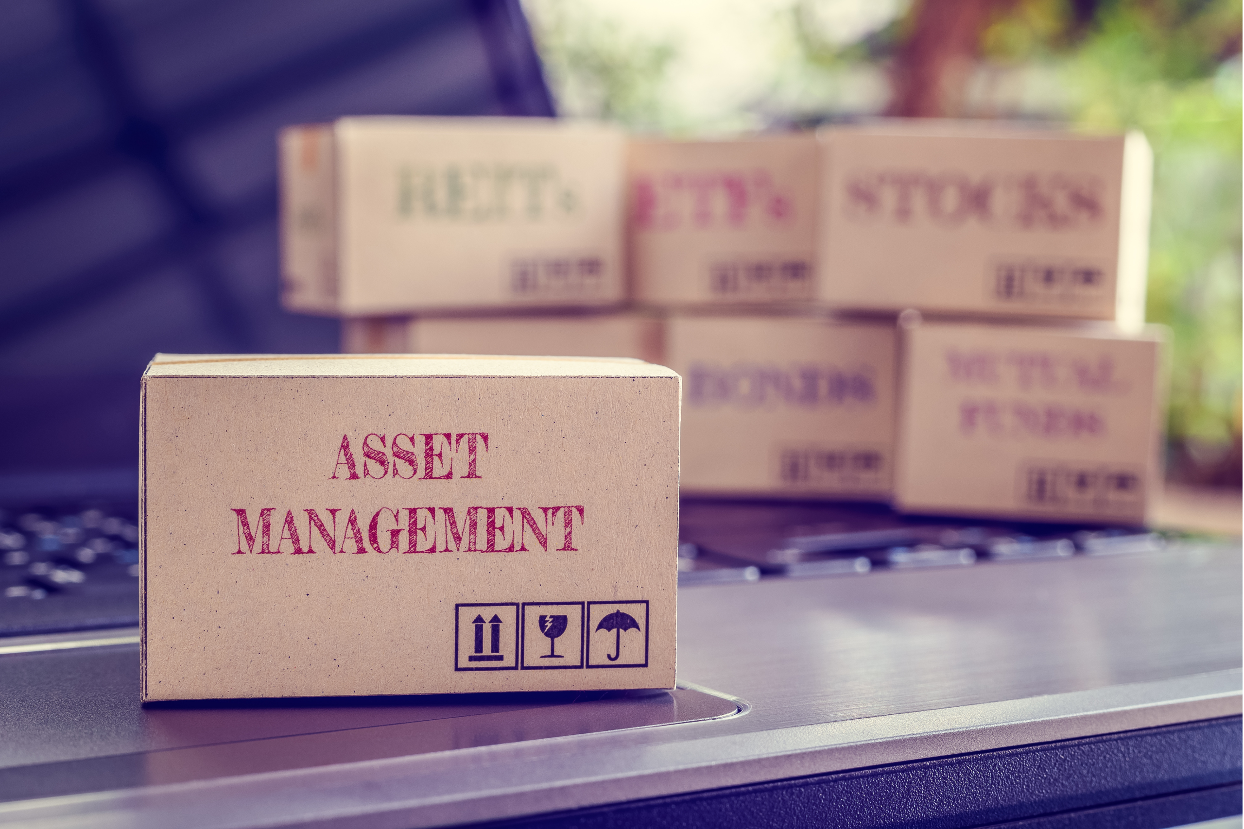 Asset management concept with labeled boxes representing investments and the UK non-dom tax changes.